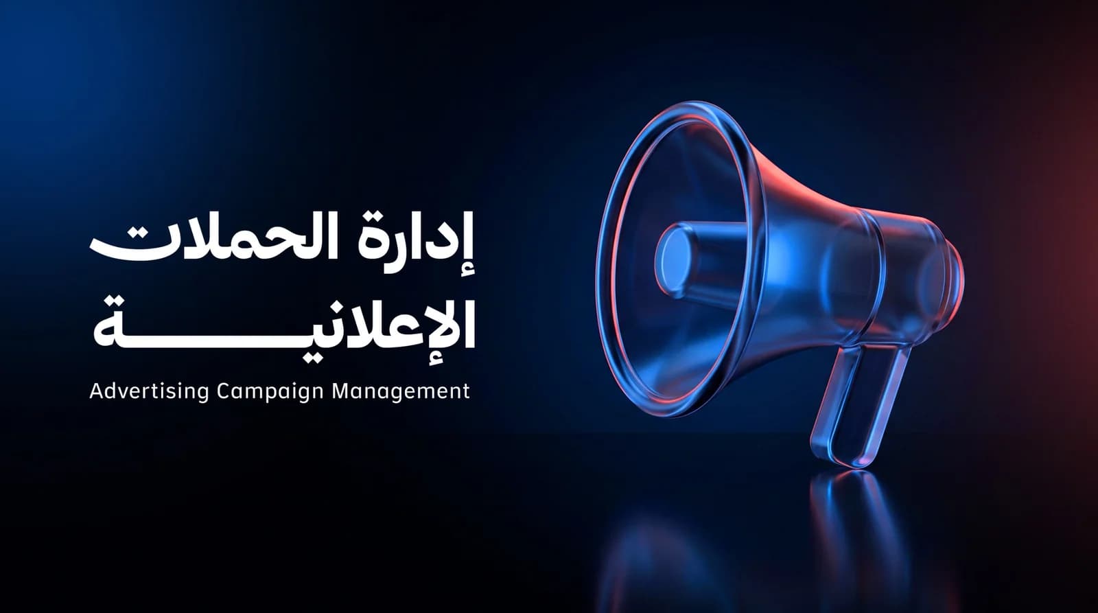 إدارة الحملات الإعلانية
