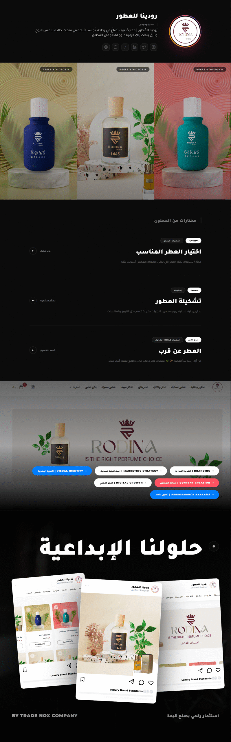 casestudy رودينا للعطور